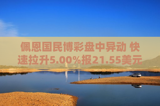 佩恩国民博彩盘中异动 快速拉升5.00%报21.55美元  第1张