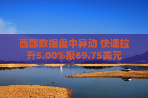西部数据盘中异动 快速拉升5.00%报69.75美元