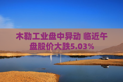 木勒工业盘中异动 临近午盘股价大跌5.03%