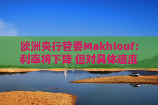 欧洲央行管委Makhlouf：利率将下降 但对具体速度持开放态度