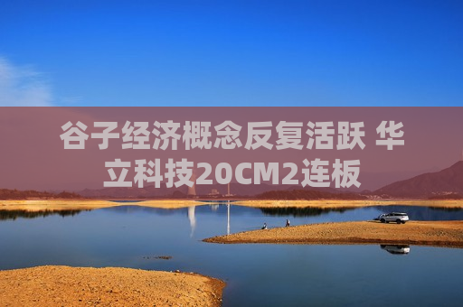 谷子经济概念反复活跃 华立科技20CM2连板