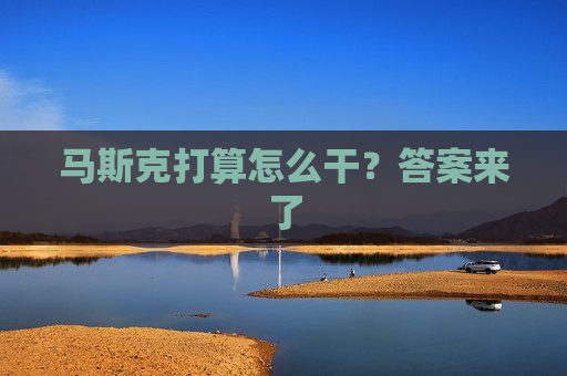 马斯克打算怎么干？答案来了