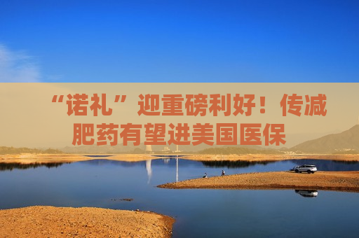 “诺礼”迎重磅利好！传减肥药有望进美国医保  第1张