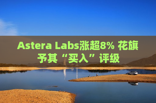 Astera Labs涨超8% 花旗予其“买入”评级  第1张