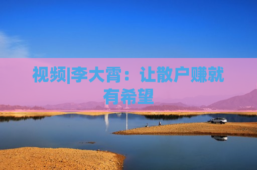 视频|李大霄：让散户赚就有希望  第1张
