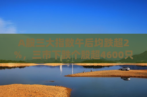 A股三大指数午后均跌超2%，三市下跌个股超4600只
