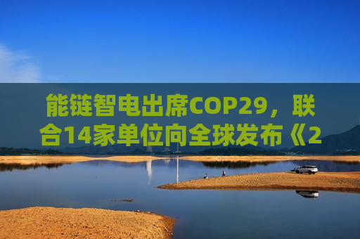 能链智电出席COP29，联合14家单位向全球发布《2024碳普惠发展白皮书》