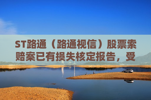 ST路通（路通视信）股票索赔案已有损失核定报告，受损股民抓紧诉讼  第1张