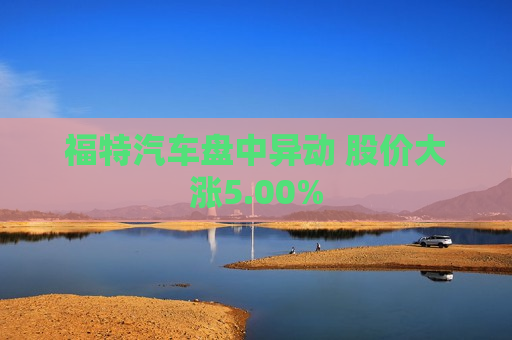 福特汽车盘中异动 股价大涨5.00%