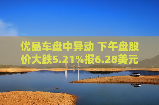 优品车盘中异动 下午盘股价大跌5.21%报6.28美元