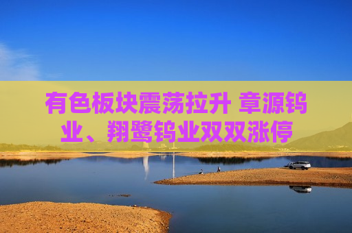 有色板块震荡拉升 章源钨业、翔鹭钨业双双涨停