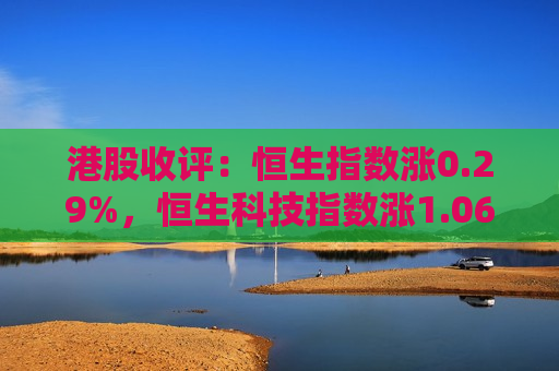 港股收评：恒生指数涨0.29%，恒生科技指数涨1.06%