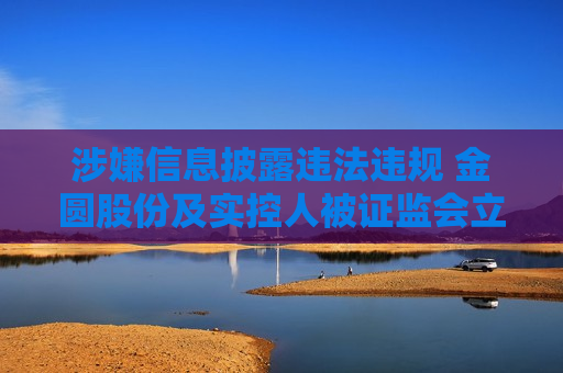 涉嫌信息披露违法违规 金圆股份及实控人被 *** 立案