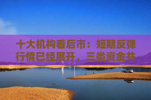 十大机构看后市：短期反弹行情已经展开，三类资金共振推动跨年行情