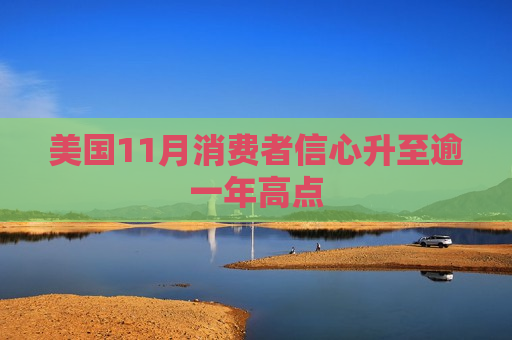 美国11月消费者信心升至逾一年高点