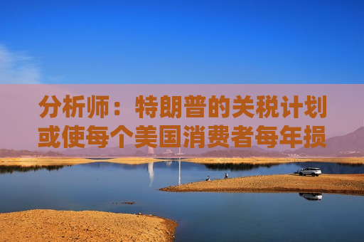 分析师：特朗普的关税计划或使每个美国消费者每年损失高达2400美元