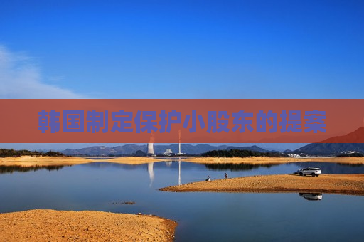 韩国制定保护小股东的提案