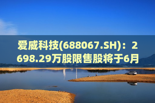 爱威科技(688067.SH)：2698.29万股限售股将于6月17日起上市流通 占总股本39.68%