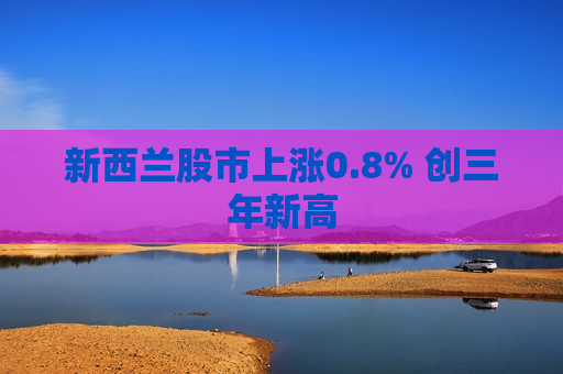 新西兰股市上涨0.8% 创三年新高