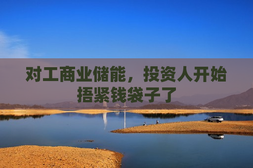 对工商业储能，投资人开始捂紧钱袋子了