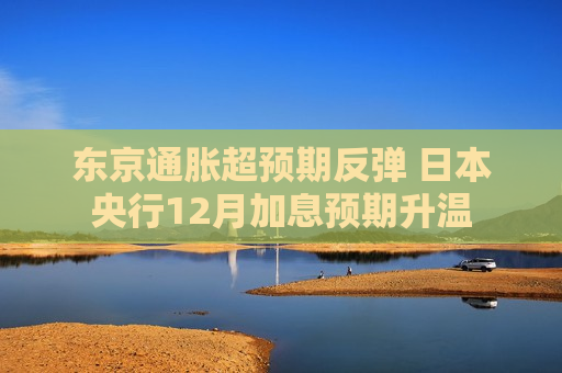 东京通胀超预期反弹 日本央行12月加息预期升温  第1张
