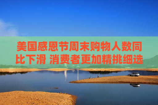 美国感恩节周末购物人数同比下滑 消费者更加精挑细选