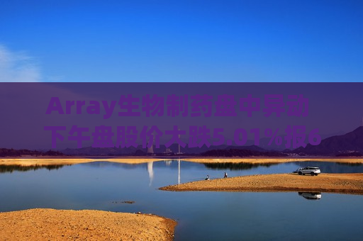 Array生物制药盘中异动 下午盘股价大跌5.01%报6.35美元