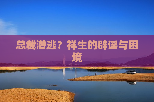 总裁潜逃？祥生的辟谣与困境