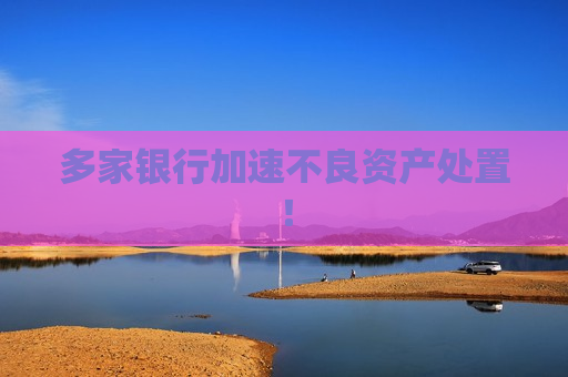 多家银行加速不良资产处置！
