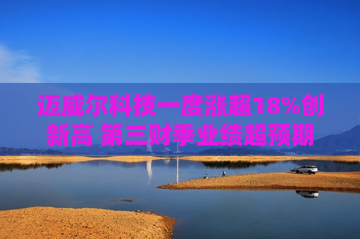 迈威尔科技一度涨超18%创新高 第三财季业绩超预期