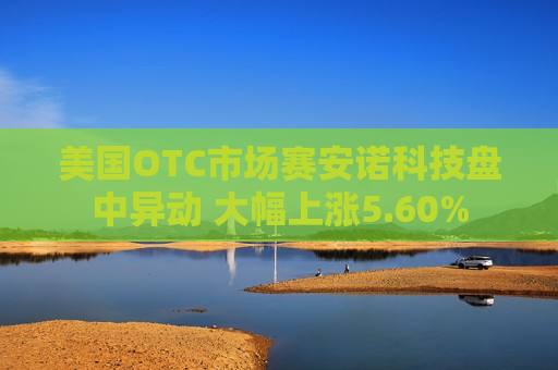 美国OTC市场赛安诺科技盘中异动 大幅上涨5.60%