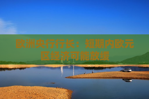 欧洲央行行长：短期内欧元区经济可能放缓