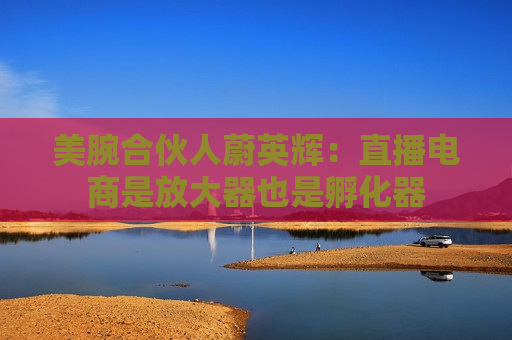 美腕合伙人蔚英辉：直播电商是放大器也是孵化器
