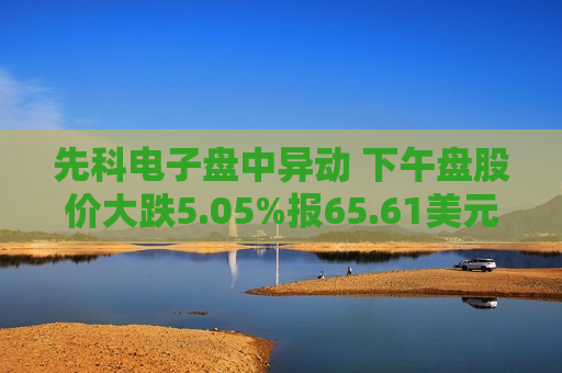 先科电子盘中异动 下午盘股价大跌5.05%报65.61美元