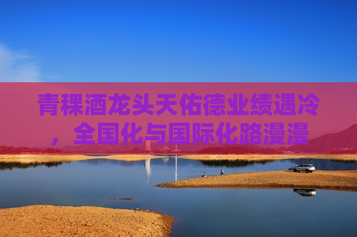 青稞酒龙头天佑德业绩遇冷，全国化与国际化路漫漫