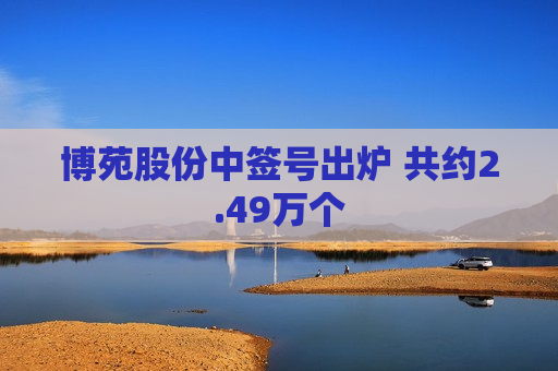 博苑股份中签号出炉 共约2.49万个  第1张