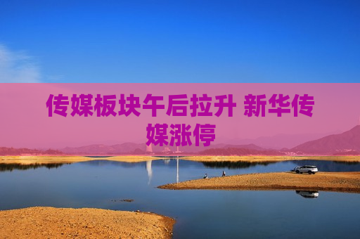 传媒板块午后拉升 新华传媒涨停
