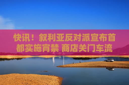 快讯！叙利亚反对派宣布首都实施宵禁 商店关门车流减少