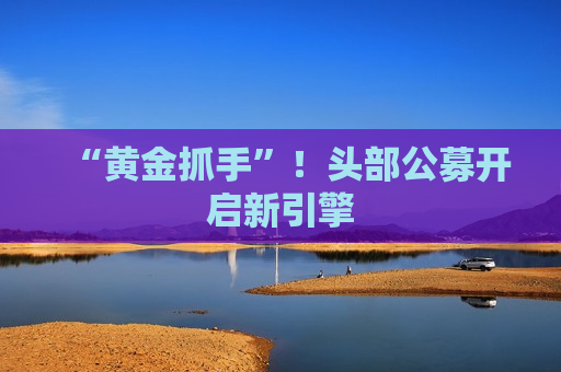 “黄金抓手”！头部公募开启新引擎