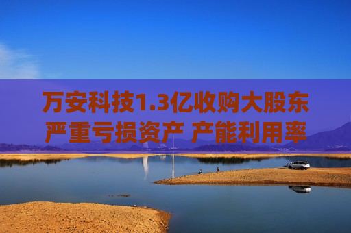 万安科技1.3亿收购大股东严重亏损资产 产能利用率长期低于50%"变租为购"原因成疑
