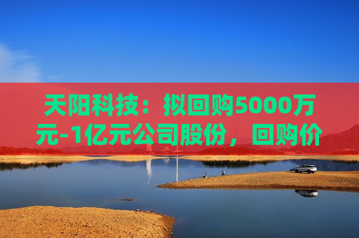 天阳科技：拟回购5000万元-1亿元公司股份，回购价不超24.52元/股  第1张