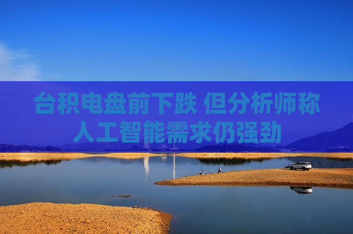 台积电盘前下跌 但分析师称人工智能需求仍强劲