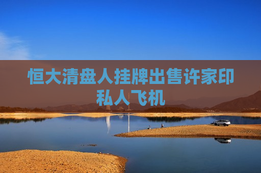 恒大清盘人挂牌出售许家印私人飞机