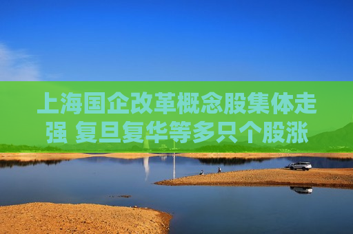 上海国企改革概念股集体走强 复旦复华等多只个股涨停  第1张
