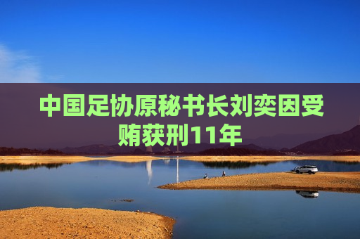 中国足协原秘书长刘奕因受贿获刑11年  第1张