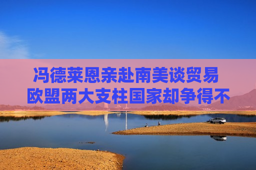 冯德莱恩亲赴南美谈贸易 欧盟两大支柱国家却争得不可开交