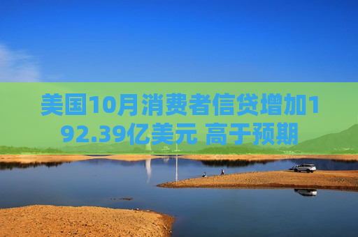 美国10月消费者信贷增加192.39亿美元 高于预期  第1张