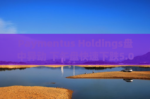 Paymentus Holdings盘中异动 下午盘快速下跌5.03%