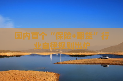 国内首个“保险+期货”行业自律规则出炉