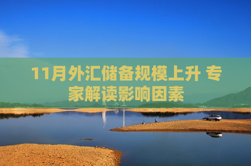 11月外汇储备规模上升 专家解读影响因素